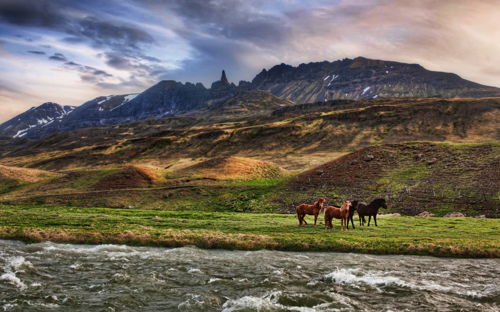 cavalli fiume montagne nuvole