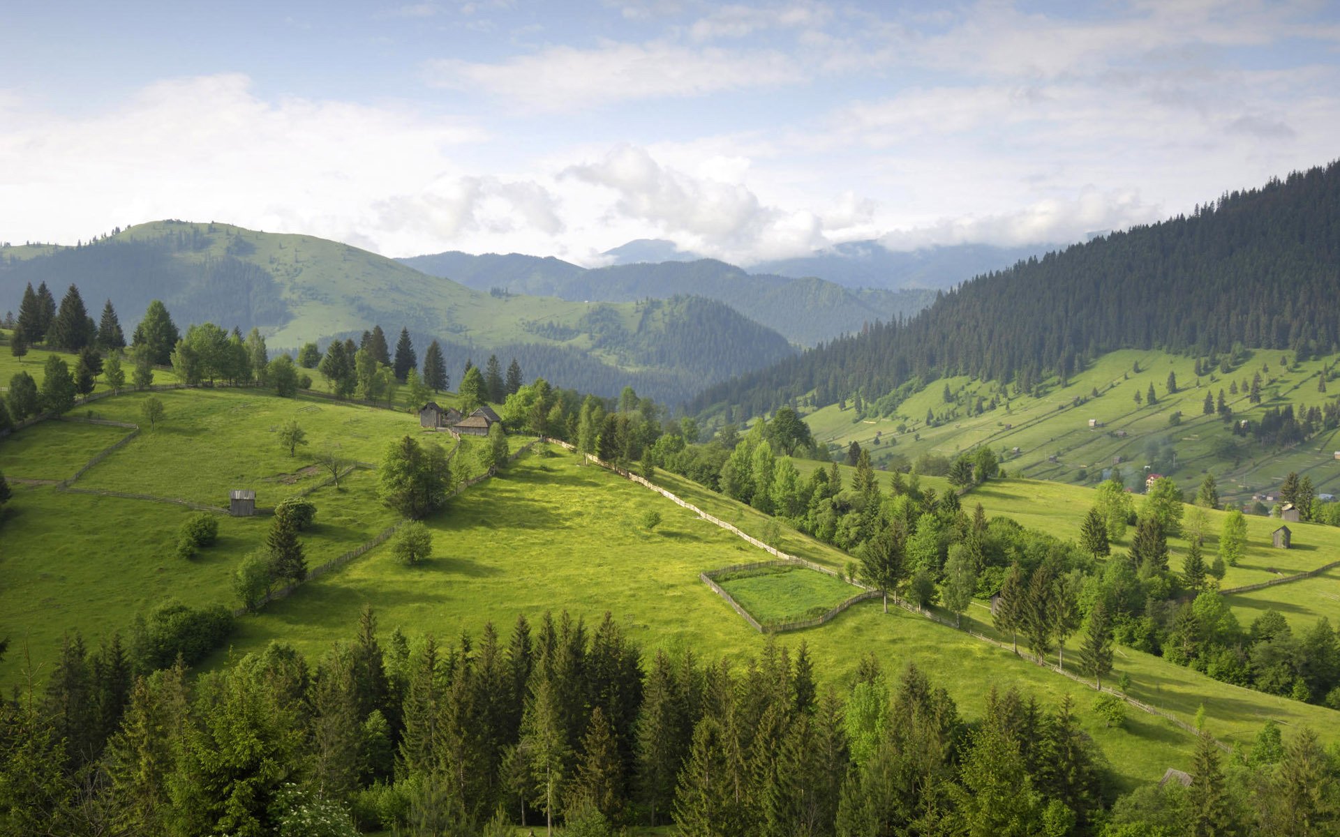 arbres collines nuages