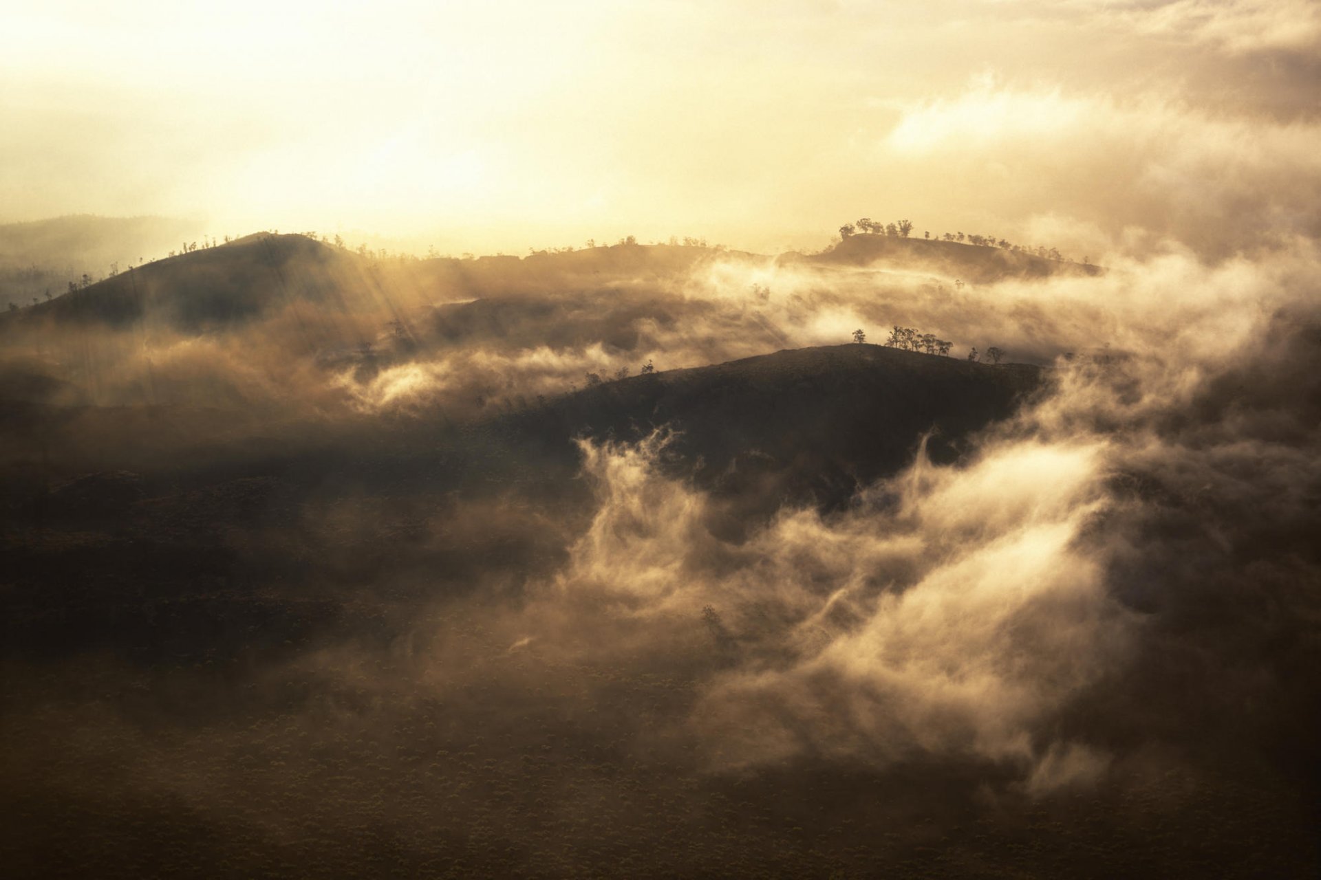 montagnes arbres bas nuages