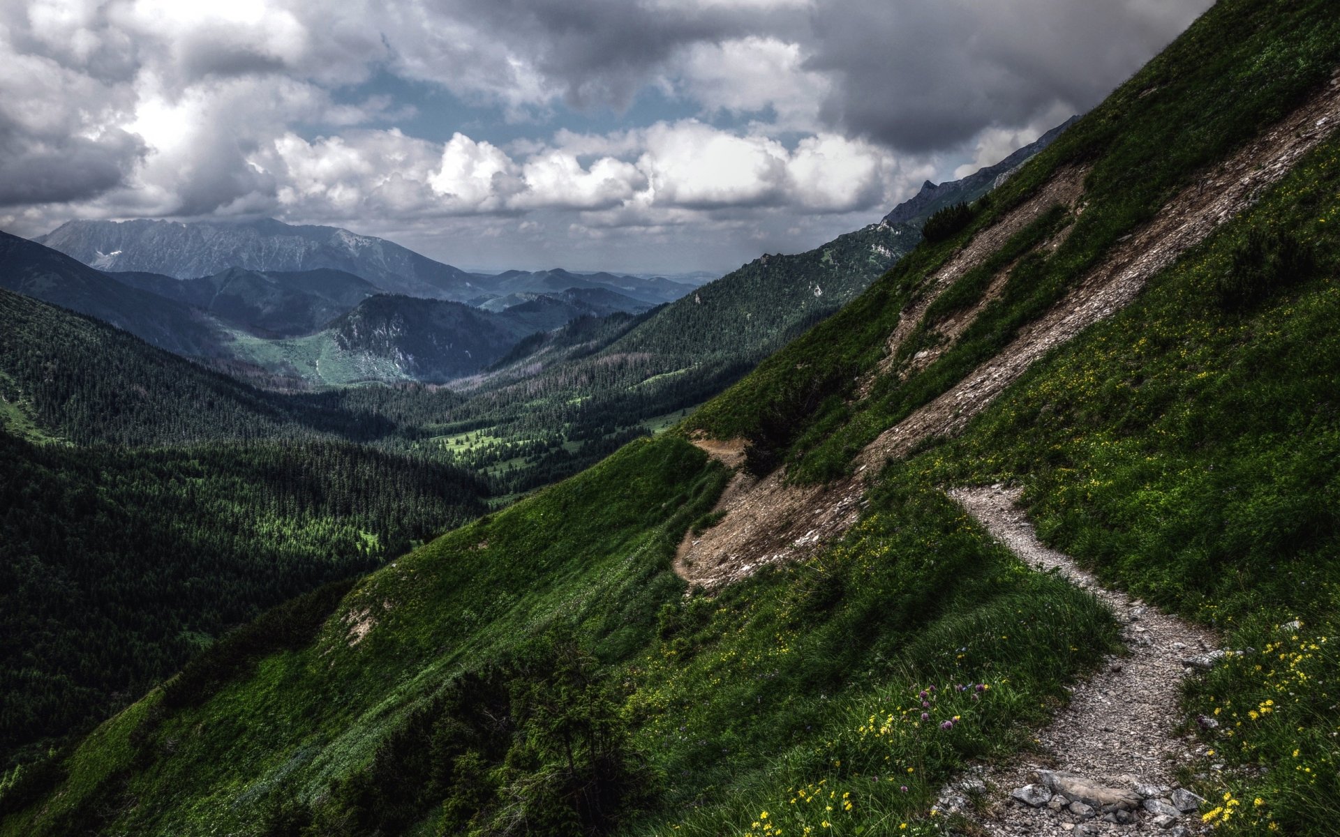 montagnes verdure hdr tatras