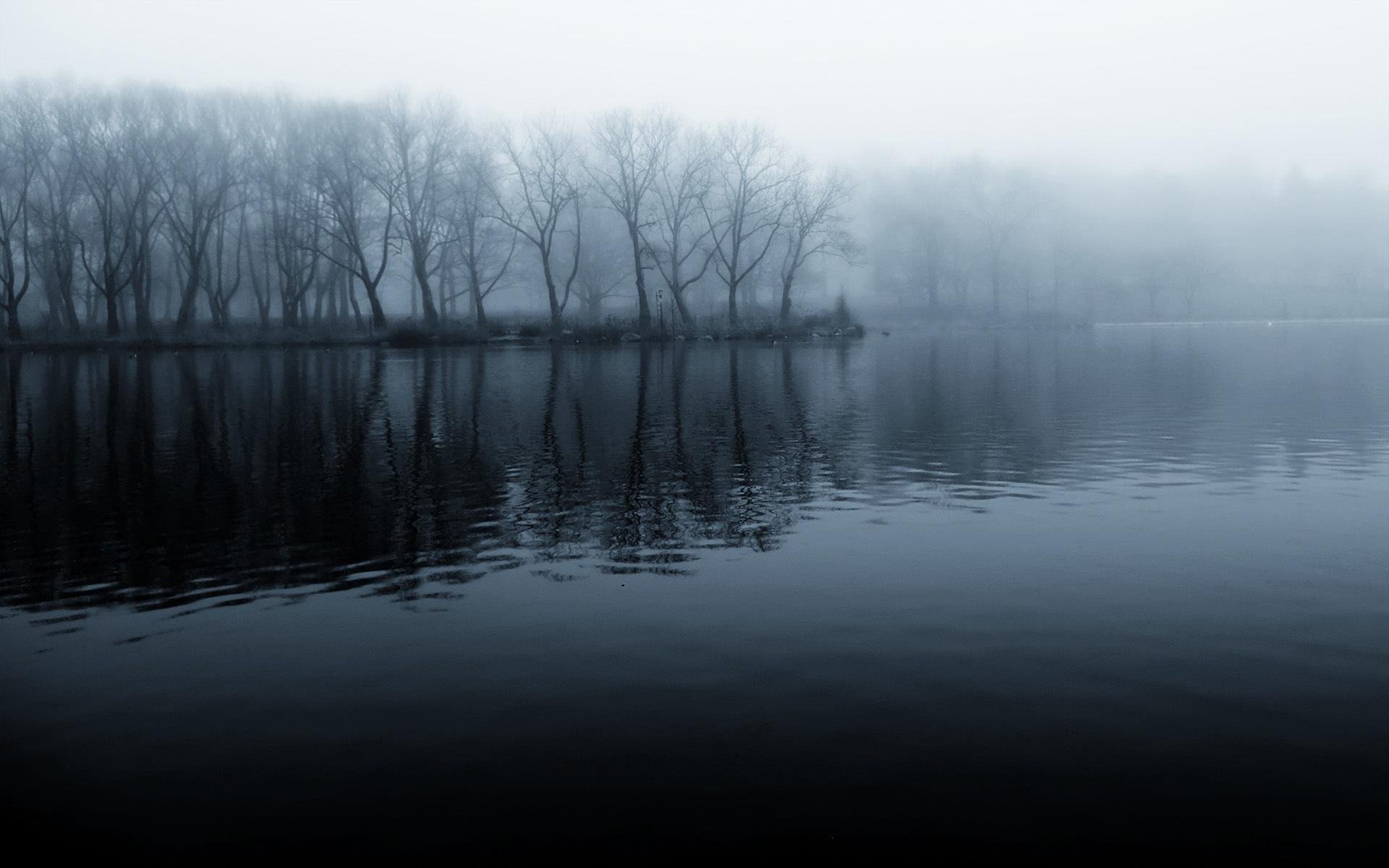 fiume riva foresta mattina nebbia fresco