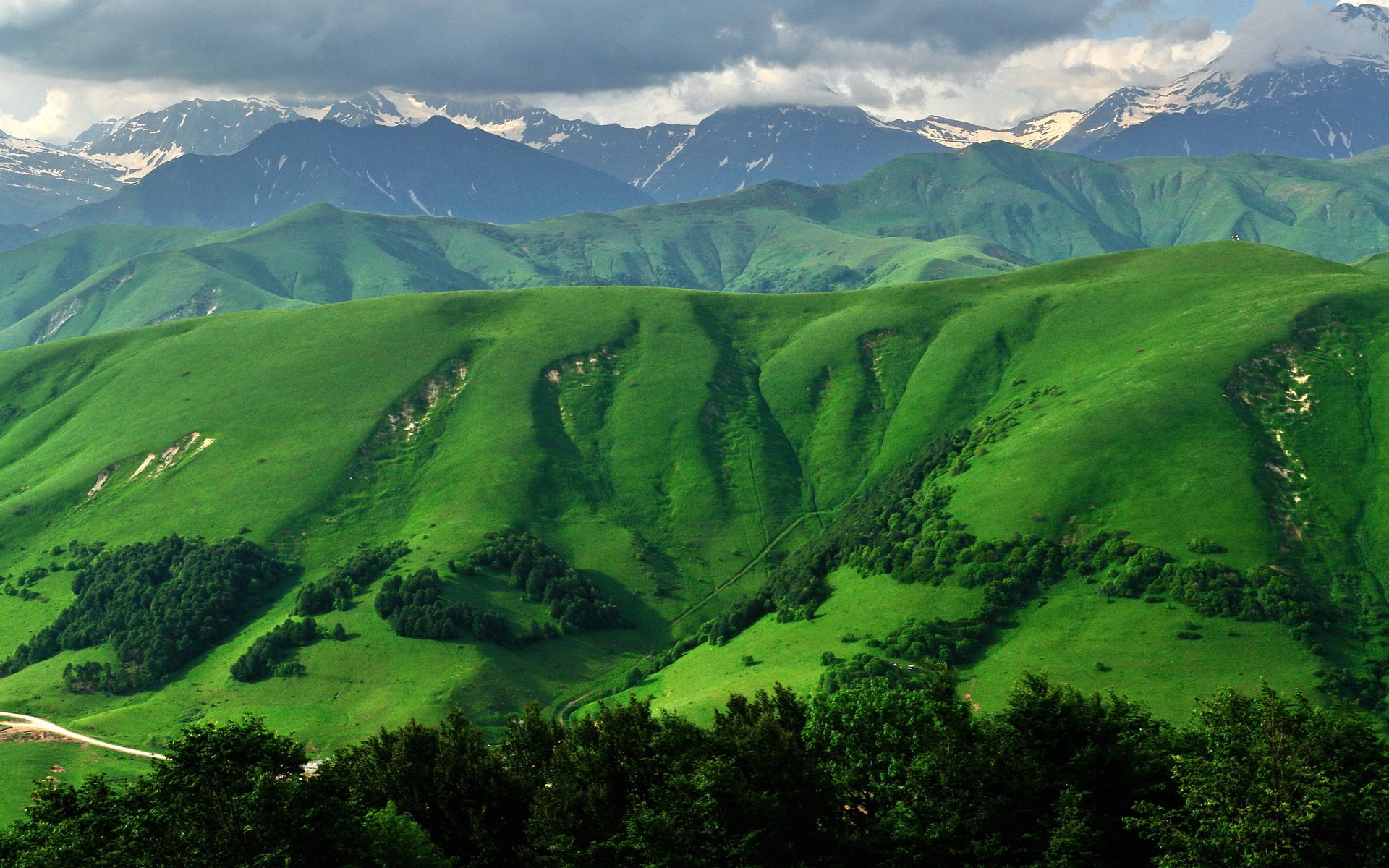 montagne erba ossezia del sud