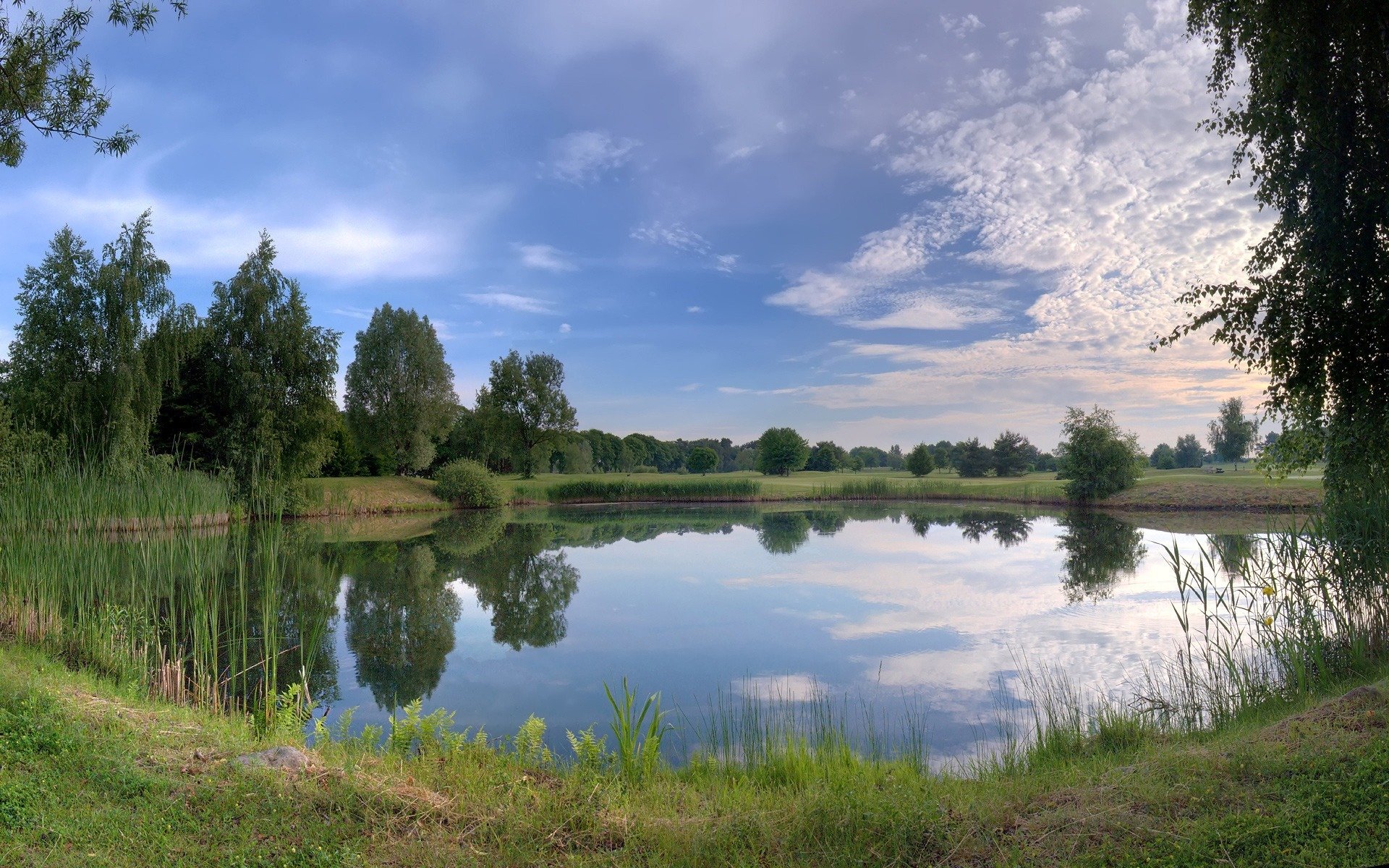 lac herbe pente nature ciel