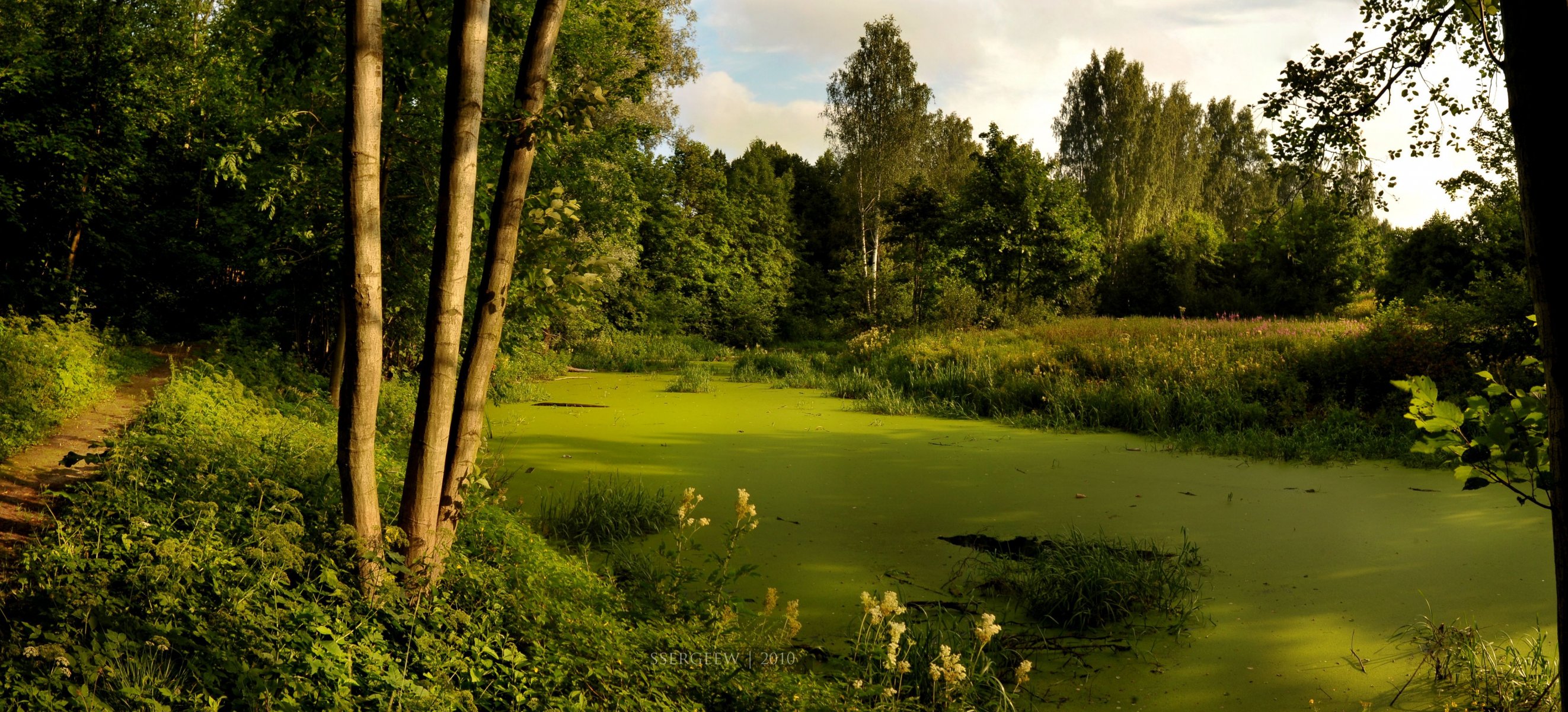 erg-sergeew fluss bäume wald