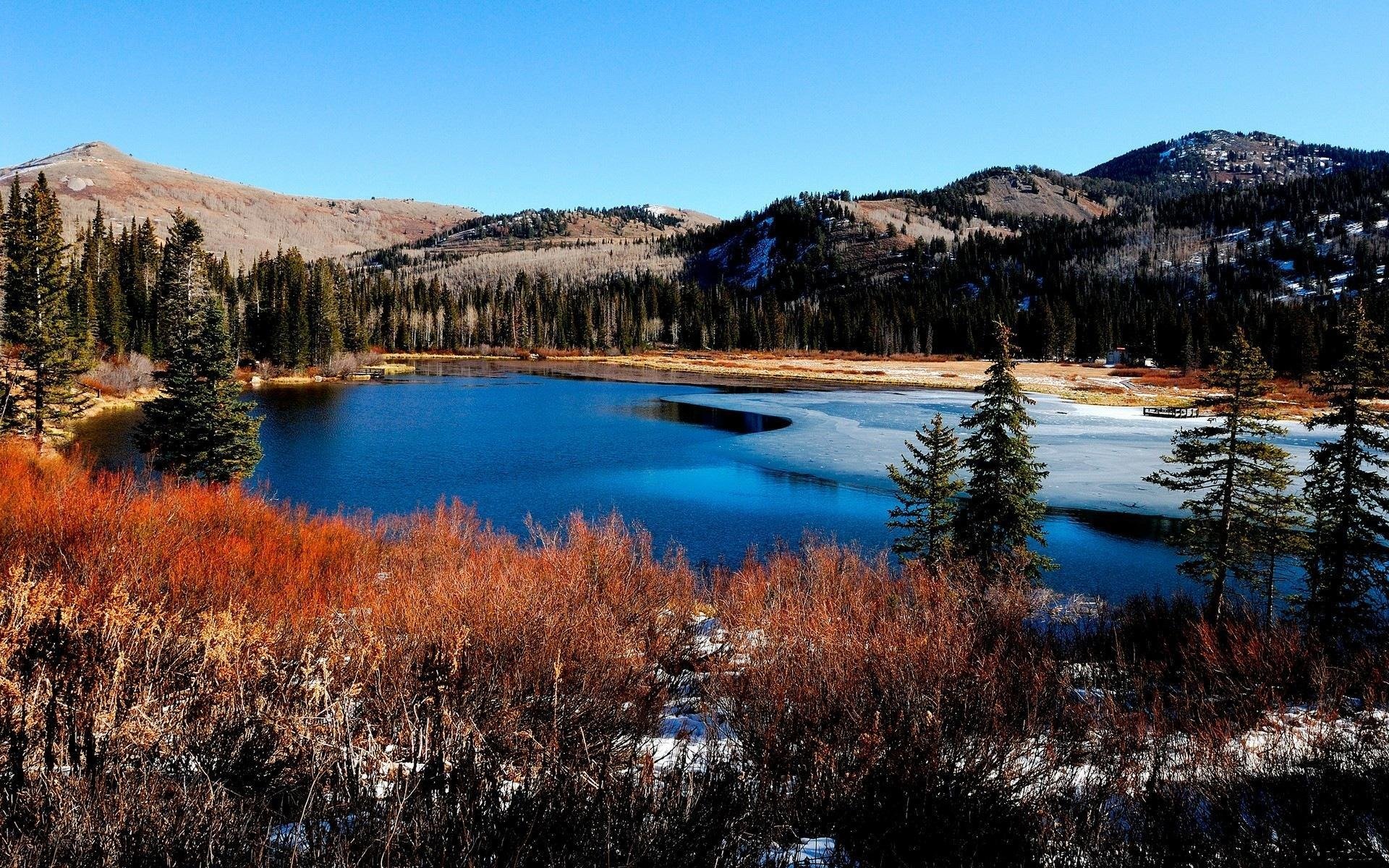 river next shore forest mountain