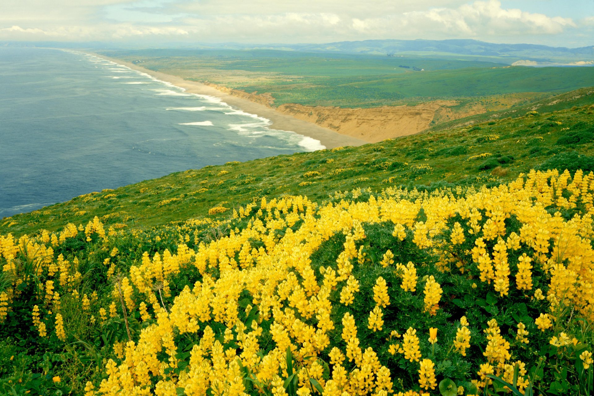 californie paysage nature océan