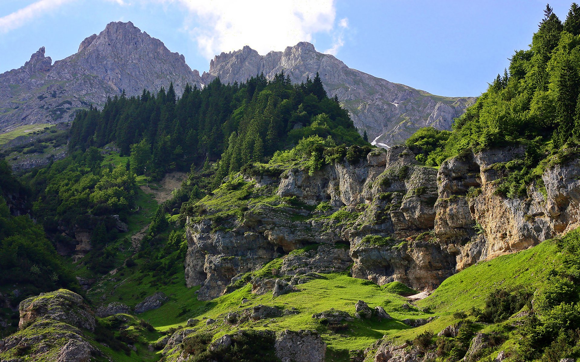 montañas cami rocas bosque árboles