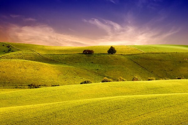 Collines et champs lumineux, juteux et verdoyants