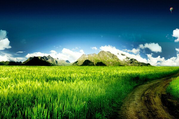 Ein Feld mit einer ungewöhnlich schönen Grasfarbe