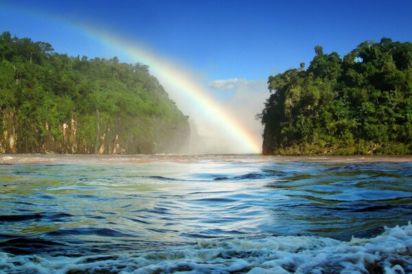 Árboles verdes cubiertos de un arco iris brillante