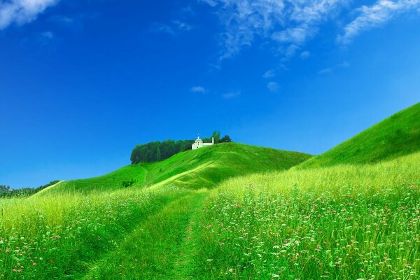 Vue d un pré vert tendre tournant dans le ciel à la lisière de l église est visible