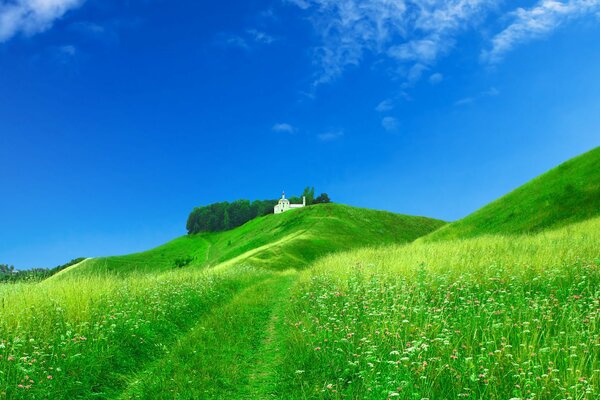 Vista di un prato verde tenero che si trasforma nel cielo ai margini è visibile una chiesa
