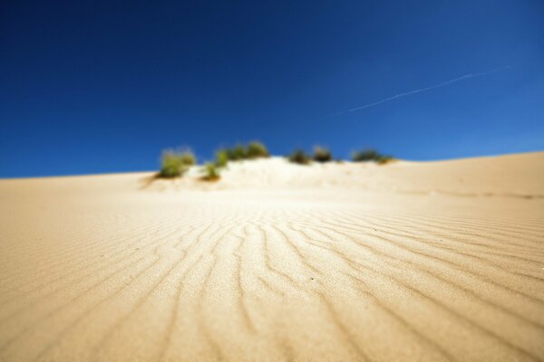 Sand landscape in the desert of Africa