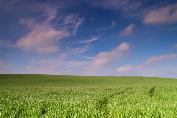 A beautiful field with a calm sky