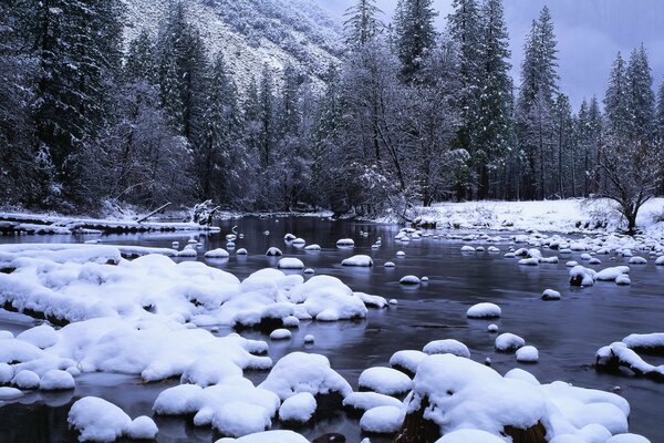 Un arroyo de montaña entre la nieve y el bosque