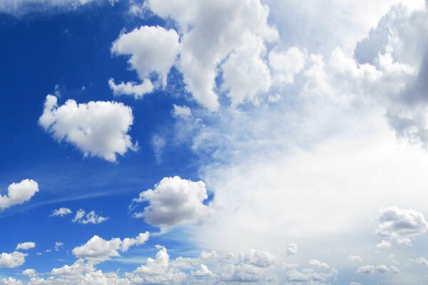 Panoramic photo of the sky. Bright landscape