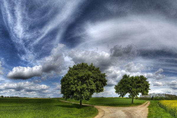 Der Weg führt in zwei Wege und um die Bäume herum ist ein Feld und Schönheit