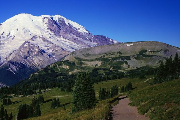 A snowy mountain and a road with trees leading to it