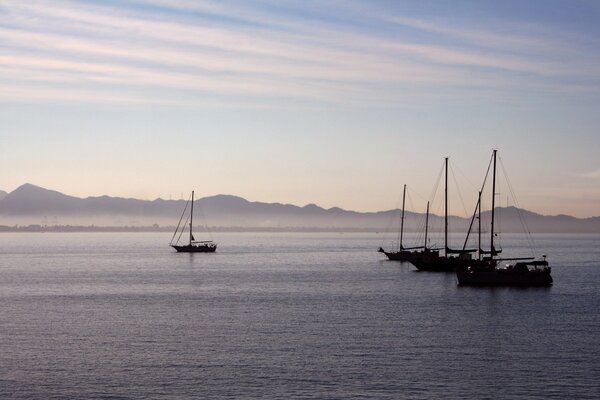 Matin sur la mer. Yachts sur l eau