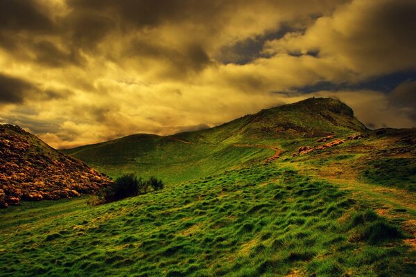 Hierba verde brillante en la colina, en el fondo del cielo