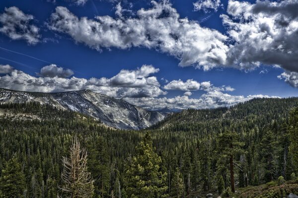 Forests and mountains under snow-white clouds