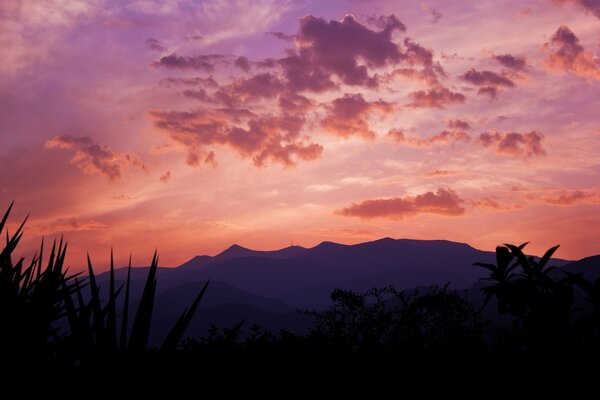 La montaña es pequeña, juncos y puesta de sol