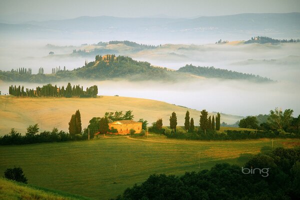 Green fields in trees, Hills can be seen covered with fog