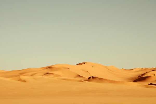 Naturaleza del desierto africano caliente