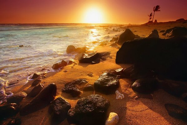 Puesta de sol sensual. Costa del océano en rocas rocosas