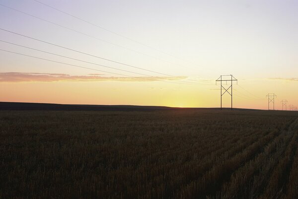 A field with pillars against the sky