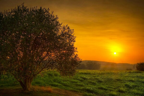 Den Sonnenuntergang auf dem Feld zu erleben, ist ein besonderes Vergnügen