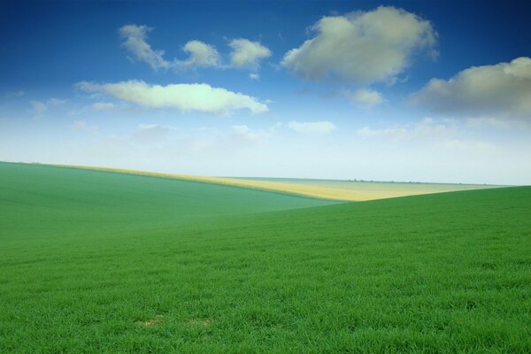 Green meadow against a cloudy sky