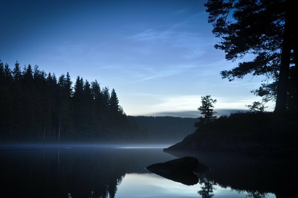 Nacht und See mit Wald zu sehen