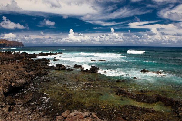 Olas que invaden la costa salvaje