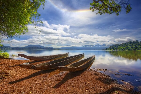 Three boats made of tree trunks on the shore