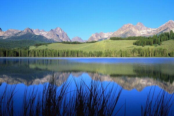 Fiume di montagna nella valle verde