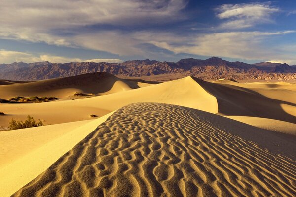 Paisaje en el desierto con montañas en el horizonte