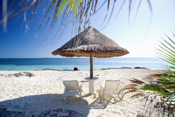 Strand, weißer Sand, Palmen. Zwei Liegen stehen unter dem Sonnenschirm