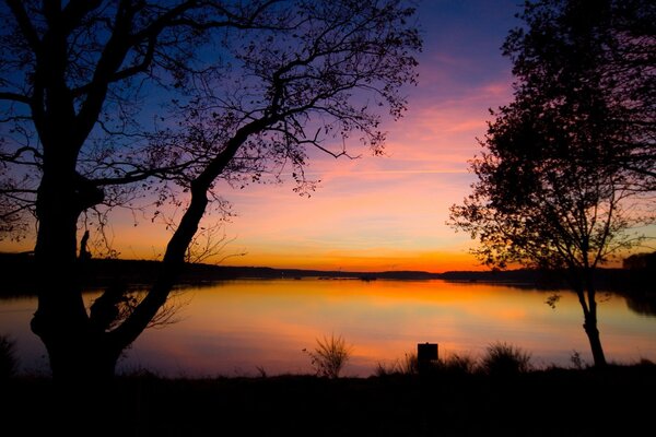 Lake and trees on the background of the evening sunset