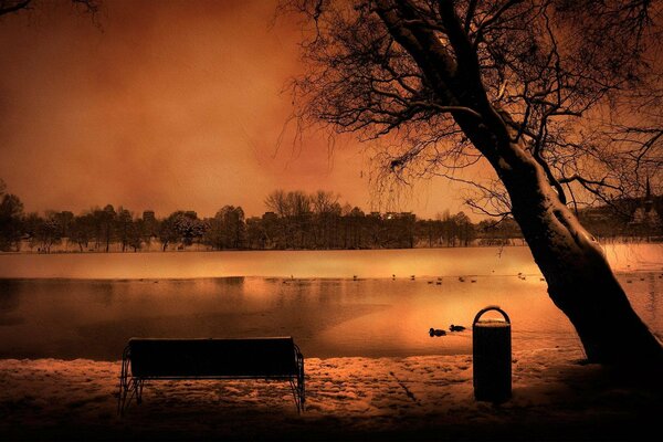 Soirée sombre au bord de la rivière