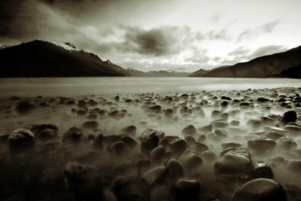 Stones in the fog look like hedgehogs