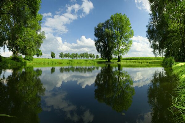 Ein Fluss mit bunter Natur