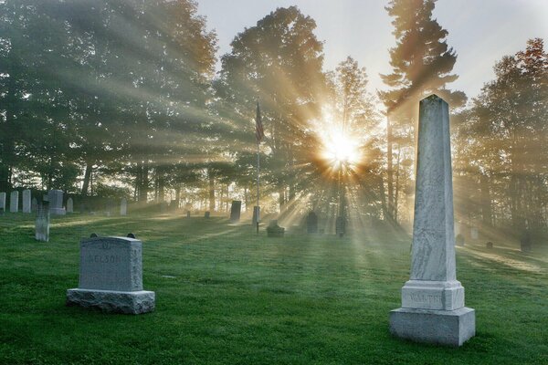 Sonnenstrahlen auf dem Friedhof im Wald