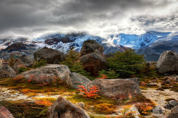 Paisaje de montaña con piedras y líquenes