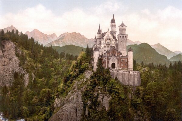 Castle on the mountain in the middle of the forest