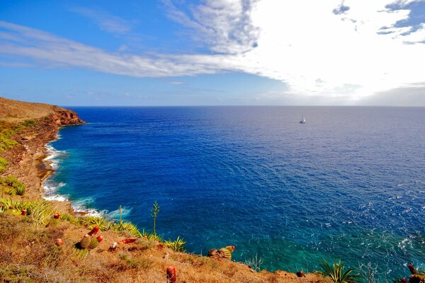 The coast of the blue sea in Anapa