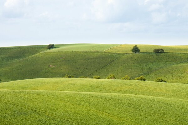 Paesaggio verde campo collinare