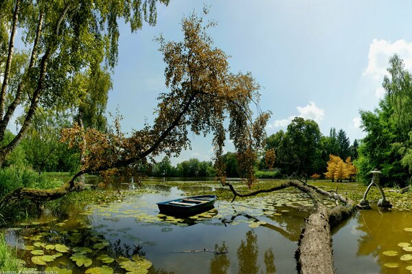 A boat in the middle of a lake and green trees