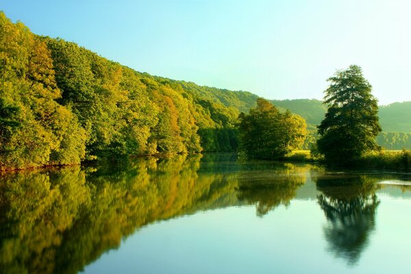 A river in the middle of a forest with a reflecting sky