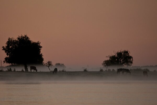 Paisaje de Sergei Dolia niebla junto al río